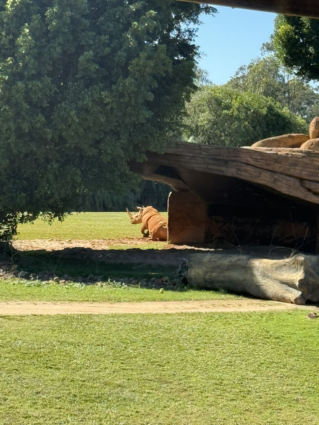 Australia Zoo is just a popular choice
