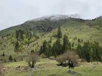 ⛰️ 𝑺𝒊𝒈𝒖𝒏𝒊𝒂𝒏𝒈𝒔𝒉𝒂𝒏 - Shuangqiaogou 