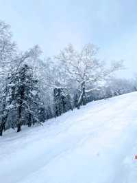 Not in Narnia world, but close enough - Wuchang, China! 