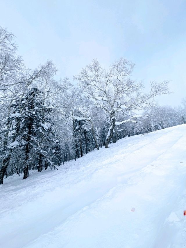 Not in Narnia world, but close enough - Wuchang, China! 