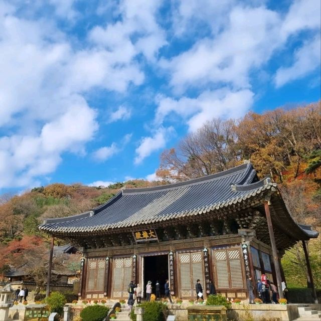 Chillin' at Jikjisa in Gimcheon