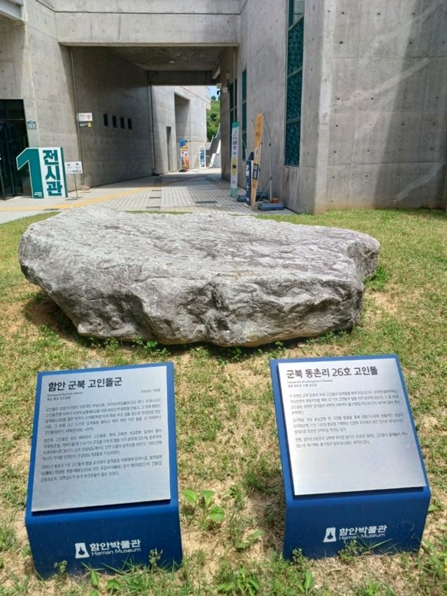 실내외 전시 골고루 즐기는 문화 산책 🌿