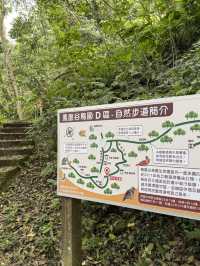 南投鹿谷｜鳳凰谷鳥園