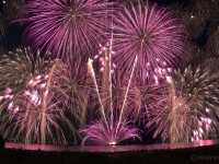 【三重県】5000発が彩る花火の華「津花火大会」