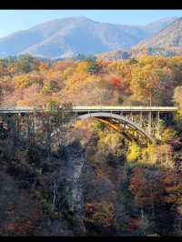 🍁【宮城・鳴子峡】紅葉のトンネルを歩く、秋だけの絶景ハイキング