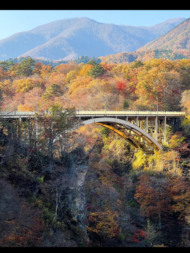 🍁【宮城・鳴子峡】紅葉のトンネルを歩く、秋だけの絶景ハイキング
