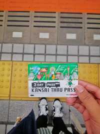 6 Days, 6 Cities, and One Pair of Tired Feet: My Japan Journey
