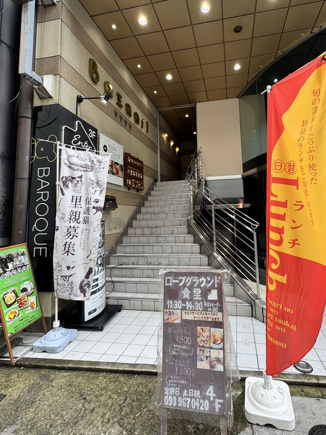 【北九州旅行】小鉢ランチ800円🍚💕
