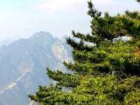 Magical Climb Up Mount Huangshan