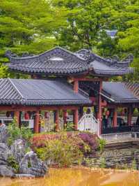 Waterfront Whispers – Lingnan Elegance Meets Lakeside Tranquility