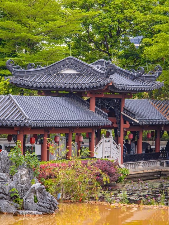 Waterfront Whispers – Lingnan Elegance Meets Lakeside Tranquility