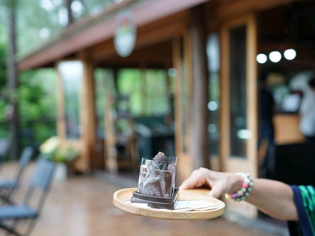 Cedar ป่าสน cafe