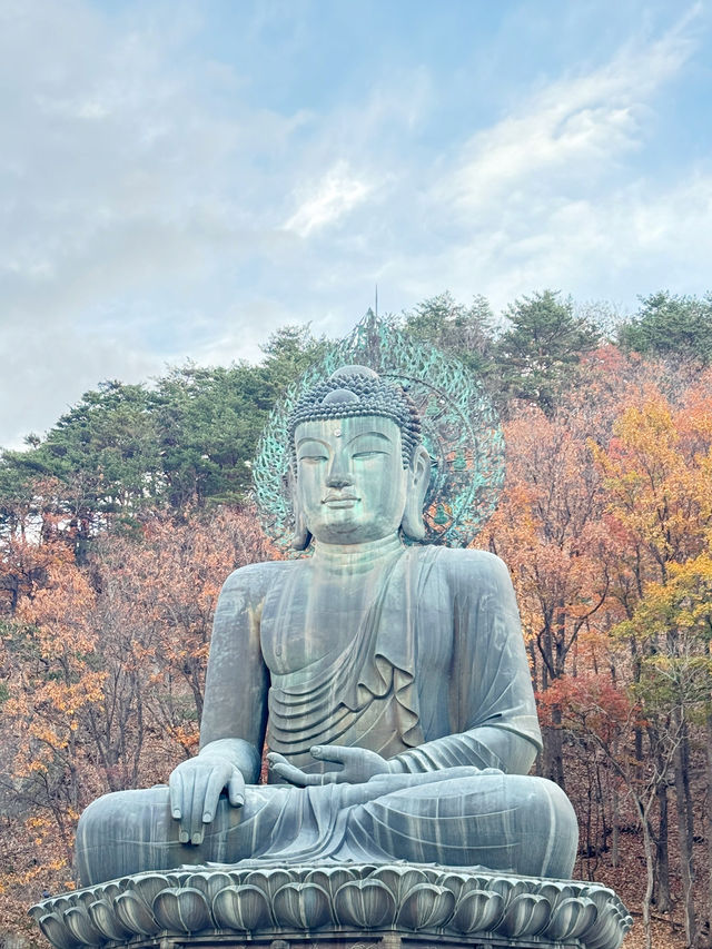🍁 설악산 당일치기 여행기 – 단풍, 케이블카, 신흥사까지 완벽 루트!