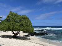 Australia - Fiji - Samoa 