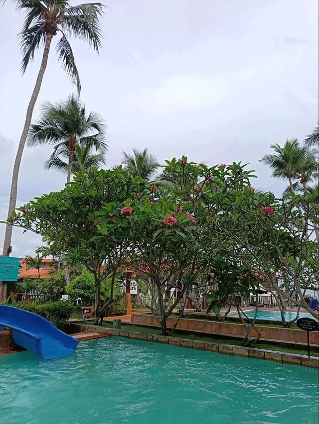 “Avillion Port Dickson – Where Rustic Luxury Meets the Sea”