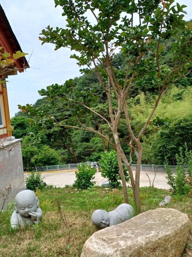 마음의 먼지를 털어내는 힐링 한 장소로 추천