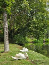 รีวิว InterContinental Khao Yai หน้าฝน