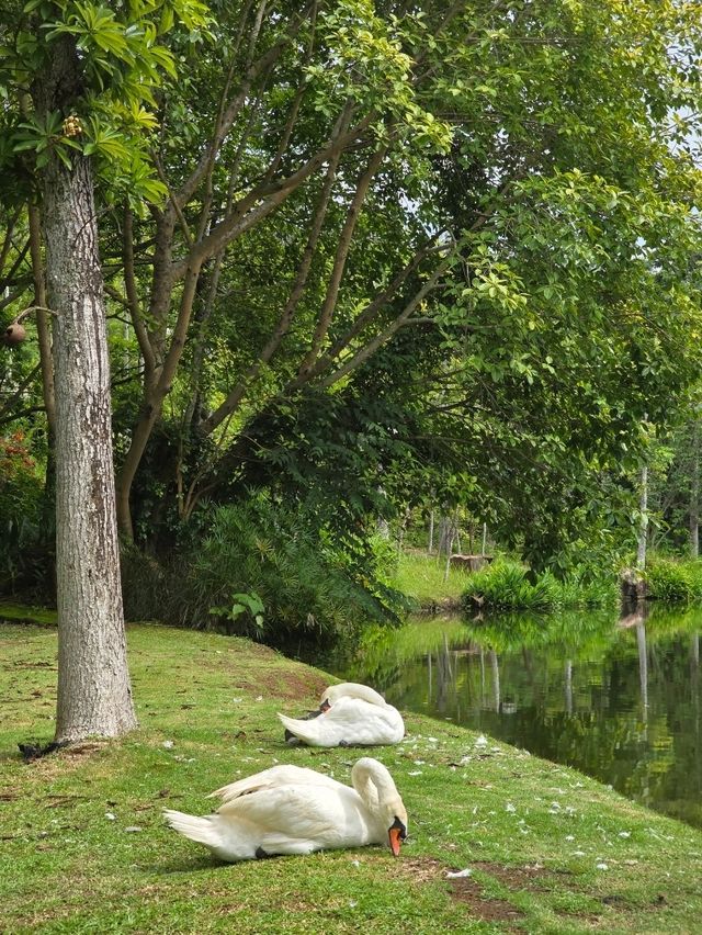 รีวิว InterContinental Khao Yai หน้าฝน