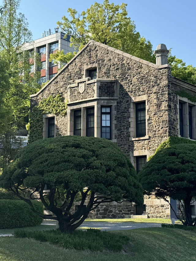 Strolling Yonsei University felt like walking inside a K-drama set 🎓🍂