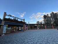 🚗 Akagi Kogen Service Area (Up) – A Top-Tier Highway Stop!