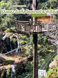 Pongyang junkle coaster zipline