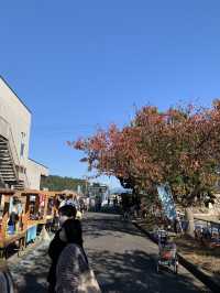 【滋賀🇯🇵】琵琶湖の離島「沖島」へ🌊