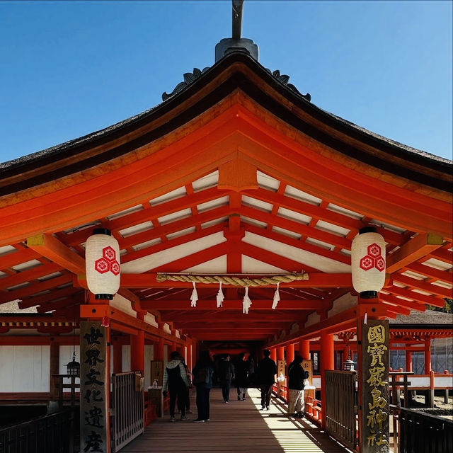 ⛩️ Great Torii Summer Survival Guide