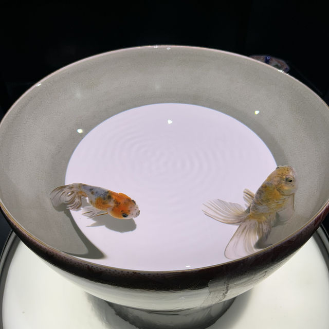 【銀座】 アートアクアリウム銀座美術館 GINZA