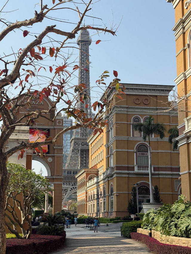 1 DAY IN MACAU