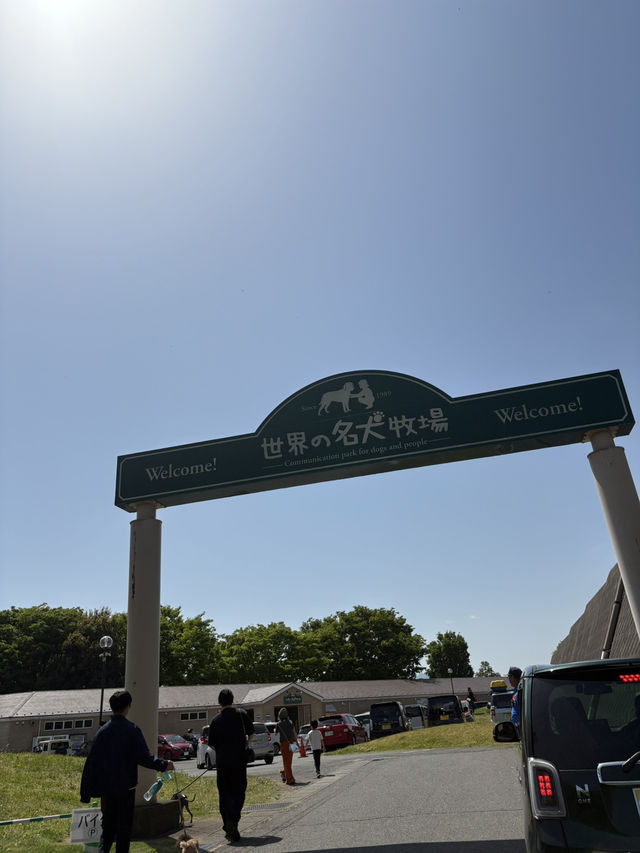 【群馬🐴】世界の名犬牧場で触れ合い放題🐶💕