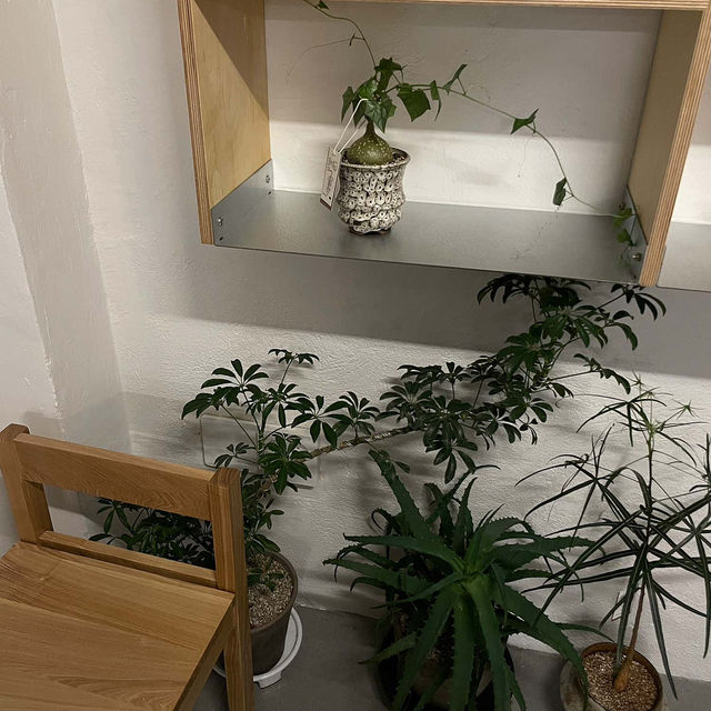 🌳🩷서면카페 전포카페 : 모티버