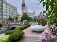 圓山公園登頂