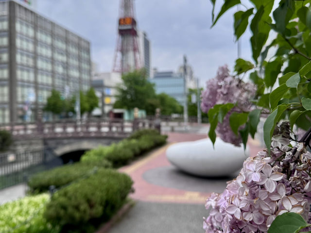 圓山公園登頂