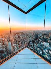Shibuya Sky: Tokyo from Daylight to Dazzling Night 