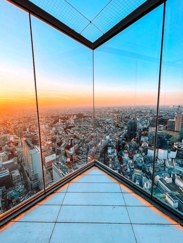 Shibuya Sky: Tokyo from Daylight to Dazzling Night 
