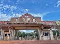 小孩放電、大人放鬆！這座動物園超乎你想像
