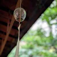 京都 | 麓壽庵，在優雅的老宅內品嚐鴨肉粥