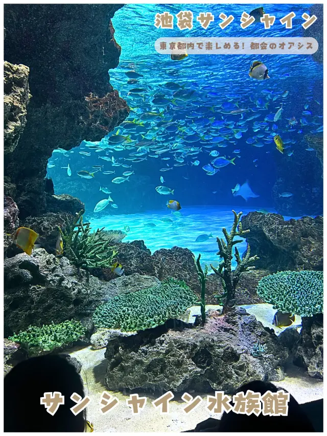 [Tokyo/Ikebukuro] Right in the heart of Ikebukuro! Enjoy the city at Sunshine Aquarium