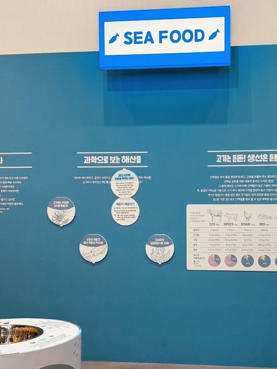 Busan National Science Museum: An Engaging Hub for Curiosity and Discovery