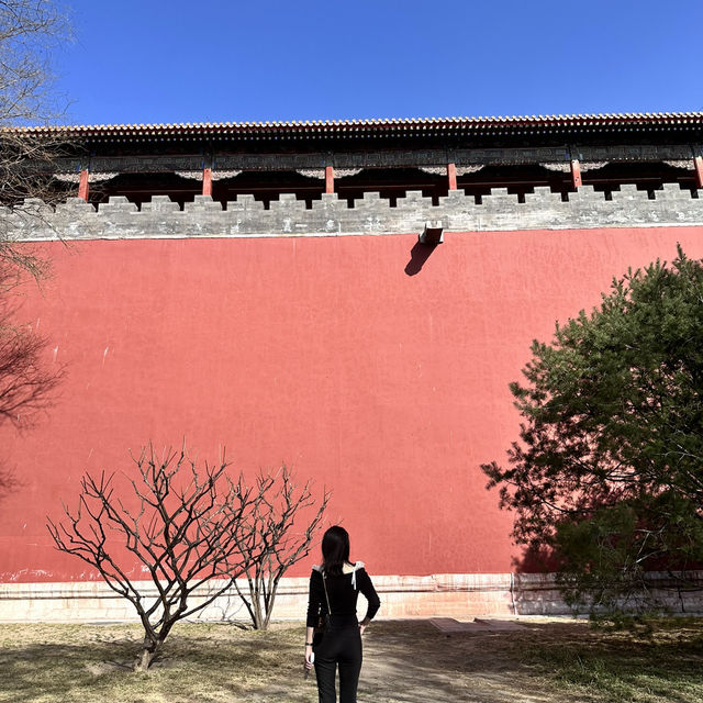 베이징가시면 꼭 자금성을 다녀오세요📸👍