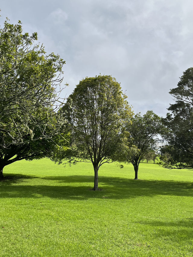 🌿奧克蘭小眾靜景｜One Tree Hill 一樹山｜在城市中心，遇見整個紐西蘭的靈魂