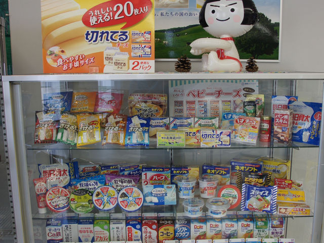 🥛 Tasty and Educational Fun at Megmilk Snow Brand Factory