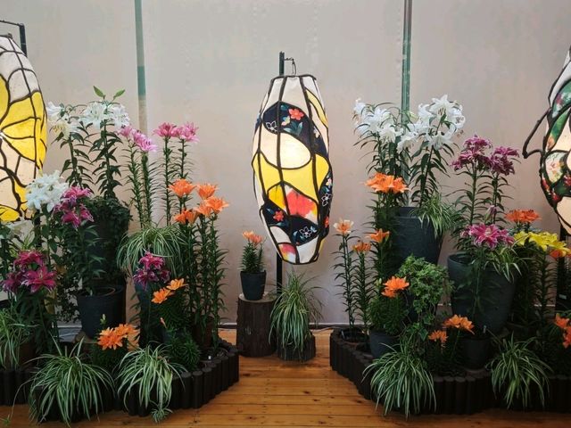 彷彿置身荷蘭的“鳥取花迴廊”🌷🌺🪴🪻