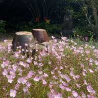 Summer Serenity: Discovering Jeju's Traditional Charm
