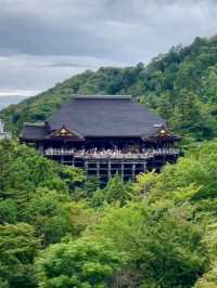 1 Day Trip เกียวโต เสน่ห์เมืองเก่า