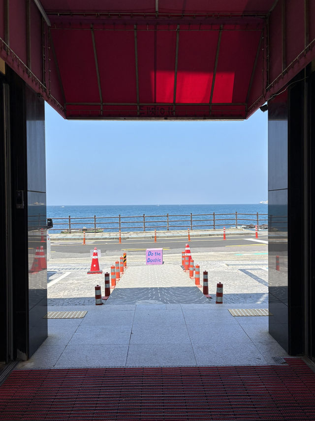 제주공항 근처 대형 소품샵 바이제주