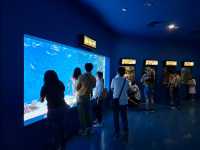 夢幻光影海底世界、南美海獅秀、打卡限定周邊一次滿足！