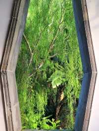 Whispers of Zen in the Heart of Singapore (Bonsai Garden)