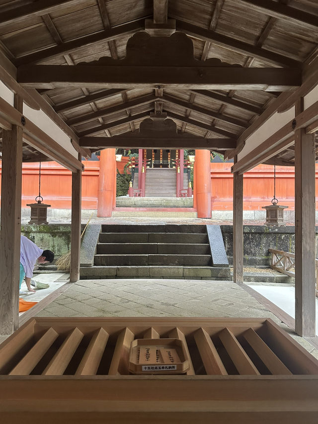 春日大社：在奈良感受神社的靈氣，探訪自然與文化的和諧交融！