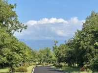 台東森林公園